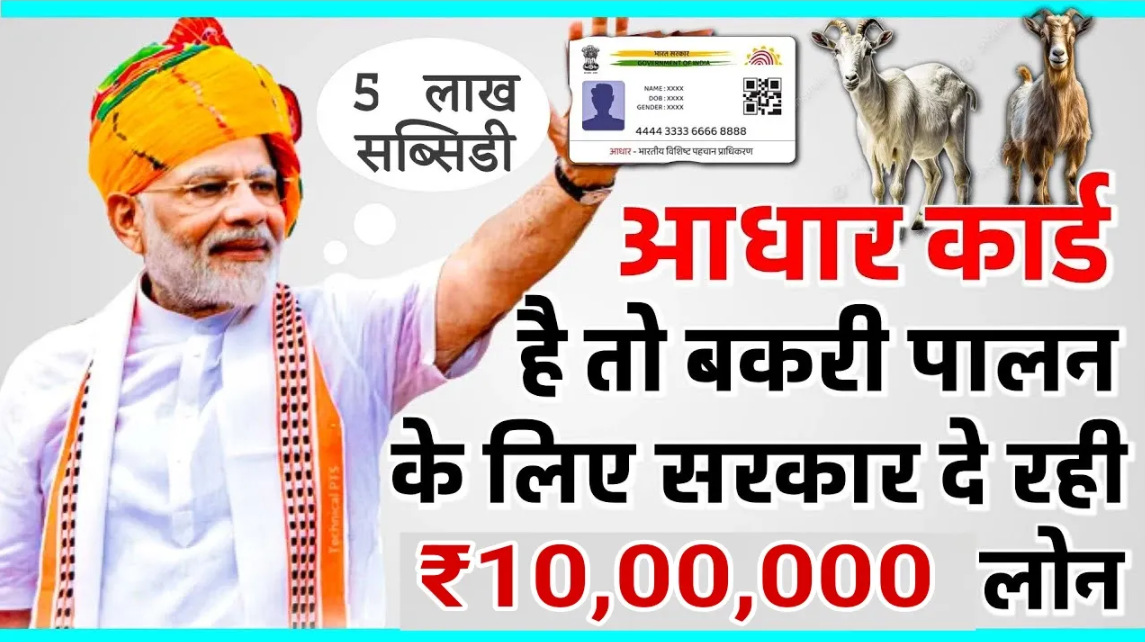 Bakri Palan Yojana: बकरी पालन के लिए सरकार देगी 10 लाख रुपये तक सब्सिडी, जानें लाभ, पात्रता व आवेदन प्रक्रिया