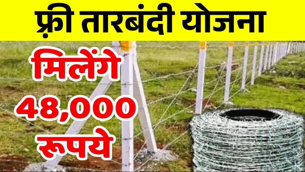 Rajasthan Tarbandi Yojana: राजस्थान तारबंदी योजना के तहत खेतों की सुरक्षा के लिए सरकार से पाएं ₹48,000 तक की मदद, जानें आवेदन, पात्रता व लाभ